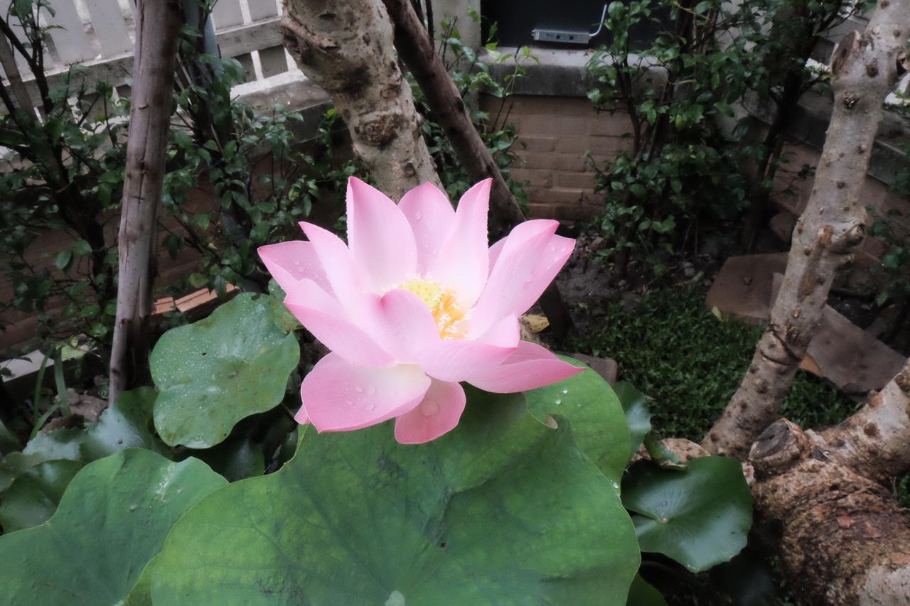 18 In Town बिस्तर और नाश्ता Chiang Mai
